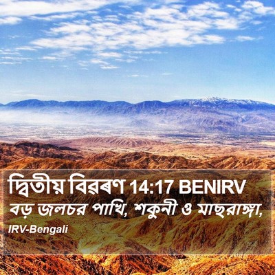 দ্বিতীয় বিৱৰণ 14:17 BENIRV Bible Verse Image