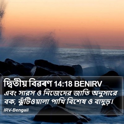 দ্বিতীয় বিৱৰণ 14:18 BENIRV Bible Verse Image