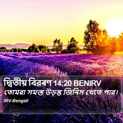 দ্বিতীয় বিৱৰণ 14:20 BENIRV Bible Verse Image