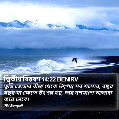 দ্বিতীয় বিৱৰণ 14:22 BENIRV Bible Verse Image