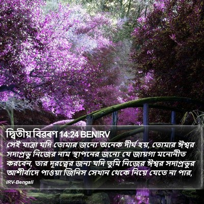 দ্বিতীয় বিৱৰণ 14:24 BENIRV Bible Verse Image