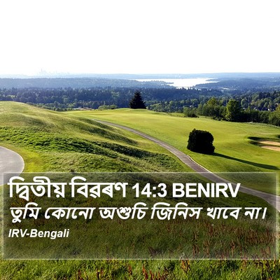 দ্বিতীয় বিৱৰণ 14:3 BENIRV Bible Verse Image