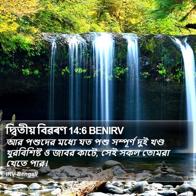 দ্বিতীয় বিৱৰণ 14:6 BENIRV Bible Verse Image