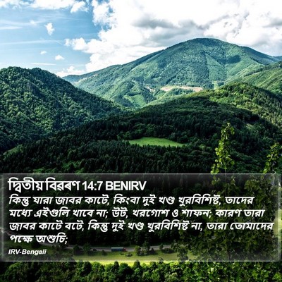 দ্বিতীয় বিৱৰণ 14:7 BENIRV Bible Verse Image