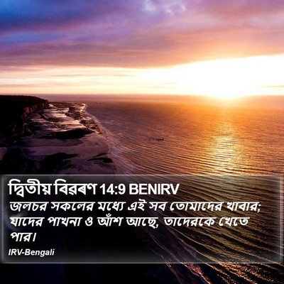 দ্বিতীয় বিৱৰণ 14:9 BENIRV Bible Verse Image