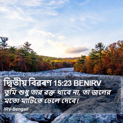 দ্বিতীয় বিৱৰণ 15:23 BENIRV Bible Verse Image
