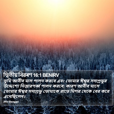 দ্বিতীয় বিৱৰণ 16:1 BENIRV Bible Verse Image
