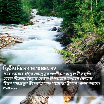 দ্বিতীয় বিৱৰণ 16:10 BENIRV Bible Verse Image