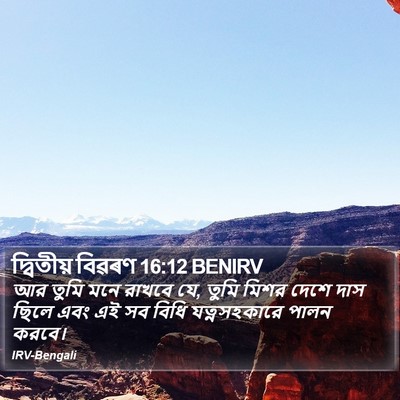 দ্বিতীয় বিৱৰণ 16:12 BENIRV Bible Verse Image