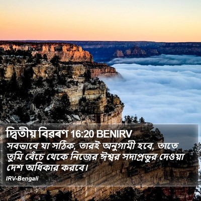 দ্বিতীয় বিৱৰণ 16:20 BENIRV Bible Verse Image