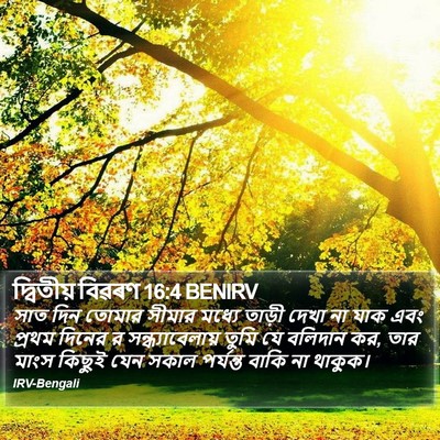 দ্বিতীয় বিৱৰণ 16:4 BENIRV Bible Verse Image