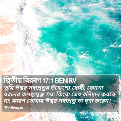 দ্বিতীয় বিৱৰণ 17:1 BENIRV Bible Verse Image