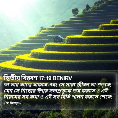দ্বিতীয় বিৱৰণ 17:19 BENIRV Bible Verse Image