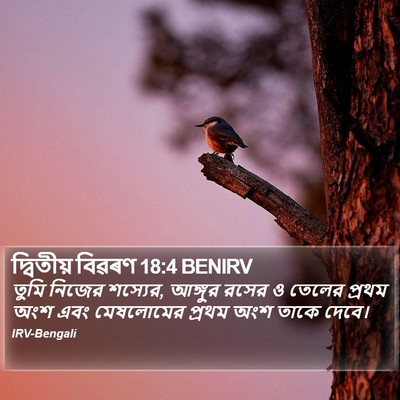 দ্বিতীয় বিৱৰণ 18:4 BENIRV Bible Verse Image