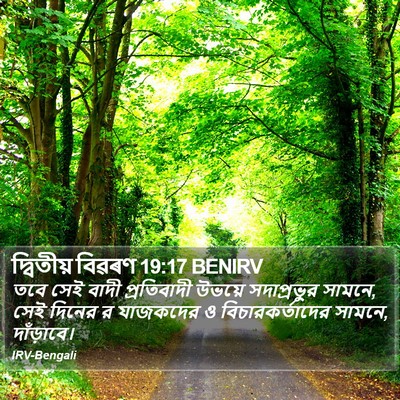 দ্বিতীয় বিৱৰণ 19:17 BENIRV Bible Verse Image