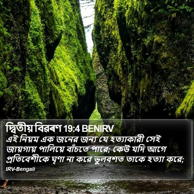 দ্বিতীয় বিৱৰণ 19:4 BENIRV Bible Verse Image