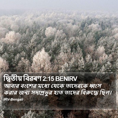 দ্বিতীয় বিৱৰণ 2:15 BENIRV Bible Verse Image