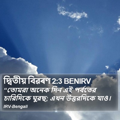 দ্বিতীয় বিৱৰণ 2:3 BENIRV Bible Verse Image