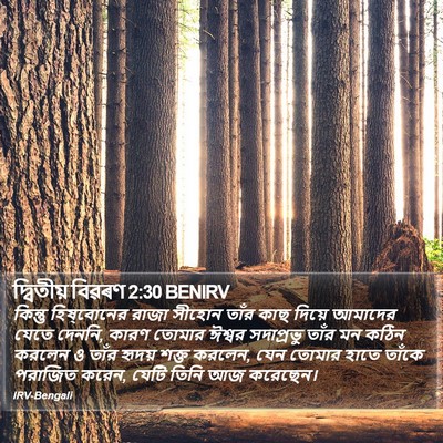 দ্বিতীয় বিৱৰণ 2:30 BENIRV Bible Verse Image