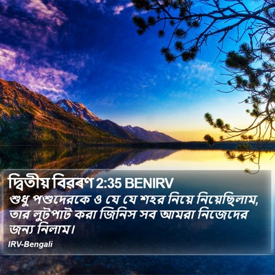 দ্বিতীয় বিৱৰণ 2:35 BENIRV Bible Verse Image