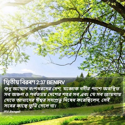 দ্বিতীয় বিৱৰণ 2:37 BENIRV Bible Verse Image