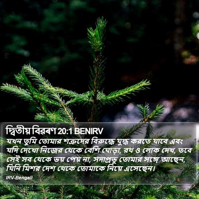 দ্বিতীয় বিৱৰণ 20:1 BENIRV Bible Verse Image