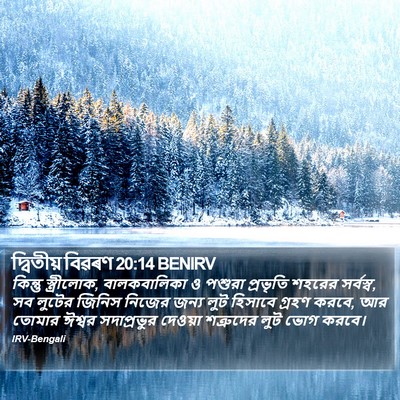 দ্বিতীয় বিৱৰণ 20:14 BENIRV Bible Verse Image