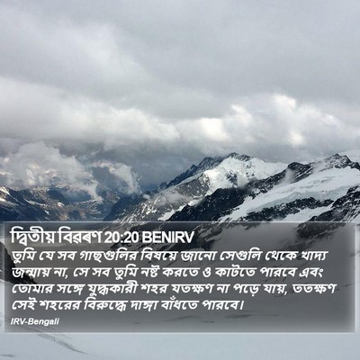 দ্বিতীয় বিৱৰণ 20:20 BENIRV Bible Verse Image
