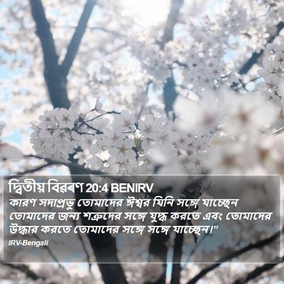 দ্বিতীয় বিৱৰণ 20:4 BENIRV Bible Verse Image