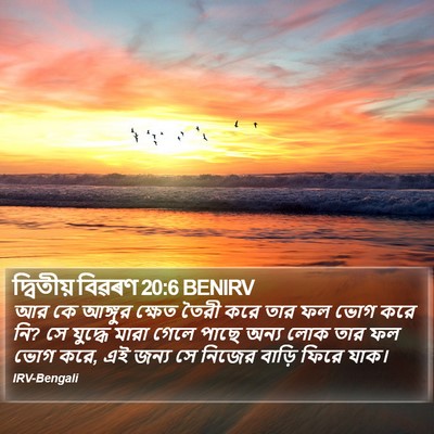 দ্বিতীয় বিৱৰণ 20:6 BENIRV Bible Verse Image