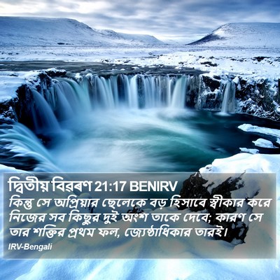দ্বিতীয় বিৱৰণ 21:17 BENIRV Bible Verse Image
