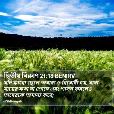 দ্বিতীয় বিৱৰণ 21:18 BENIRV Bible Verse Image