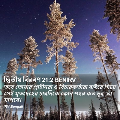 দ্বিতীয় বিৱৰণ 21:2 BENIRV Bible Verse Image