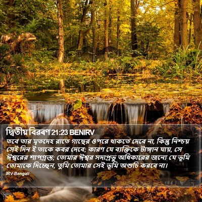 দ্বিতীয় বিৱৰণ 21:23 BENIRV Bible Verse Image