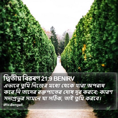 দ্বিতীয় বিৱৰণ 21:9 BENIRV Bible Verse Image