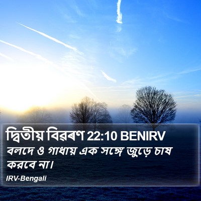 দ্বিতীয় বিৱৰণ 22:10 BENIRV Bible Verse Image