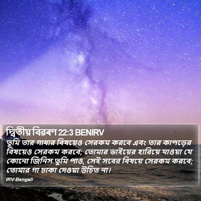 দ্বিতীয় বিৱৰণ 22:3 BENIRV Bible Verse Image