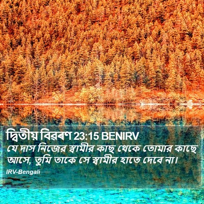 দ্বিতীয় বিৱৰণ 23:15 BENIRV Bible Verse Image