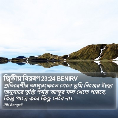 দ্বিতীয় বিৱৰণ 23:24 BENIRV Bible Verse Image