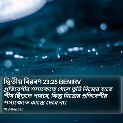 দ্বিতীয় বিৱৰণ 23:25 BENIRV Bible Verse Image