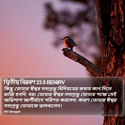 দ্বিতীয় বিৱৰণ 23:5 BENIRV Bible Verse Image