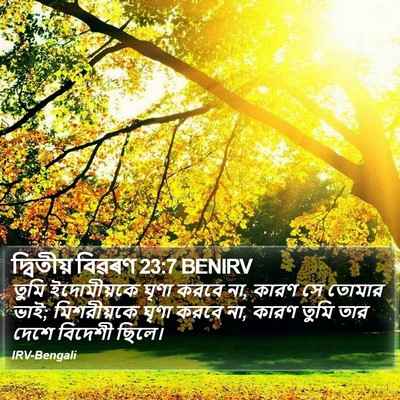 দ্বিতীয় বিৱৰণ 23:7 BENIRV Bible Verse Image