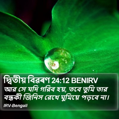 দ্বিতীয় বিৱৰণ 24:12 BENIRV Bible Verse Image