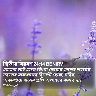 দ্বিতীয় বিৱৰণ 24:14 BENIRV Bible Verse Image