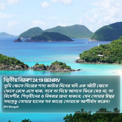 দ্বিতীয় বিৱৰণ 24:19 BENIRV Bible Verse Image