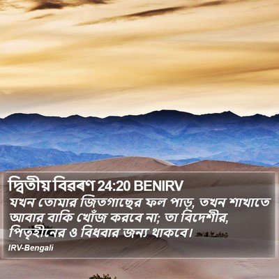 দ্বিতীয় বিৱৰণ 24:20 BENIRV Bible Verse Image