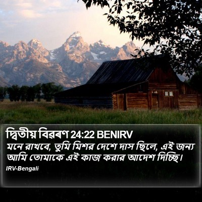 দ্বিতীয় বিৱৰণ 24:22 BENIRV Bible Verse Image