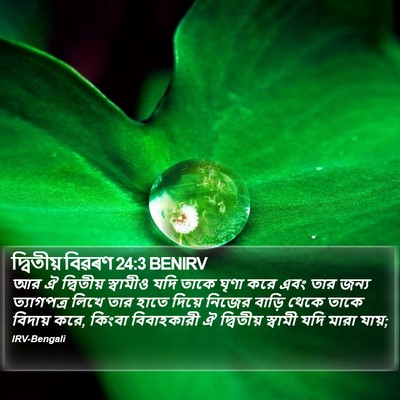 দ্বিতীয় বিৱৰণ 24:3 BENIRV Bible Verse Image