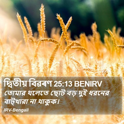 দ্বিতীয় বিৱৰণ 25:13 BENIRV Bible Verse Image