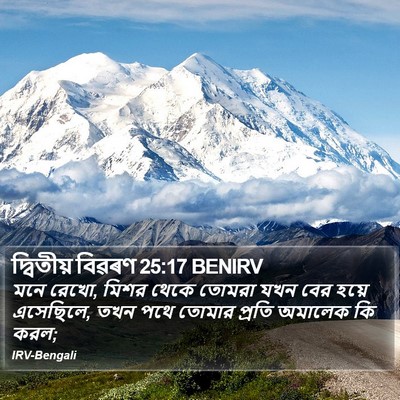 দ্বিতীয় বিৱৰণ 25:17 BENIRV Bible Verse Image
